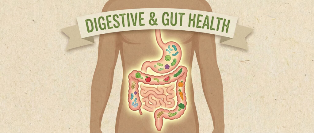 Digestive and Gut Health